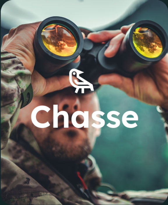 Forfaits de chasse aux oiseaux au faisan — Pourvoirie au Pays de Réal Massé – Pourvoirie au Pays de Réal Massé